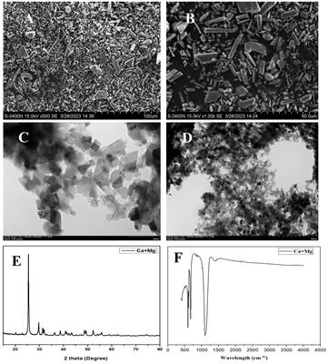 Modulation of Cd carriers by innovative nanocomposite (Ca+Mg) and Cd-resistance microbes (Bacillus pumilus): a mechanistic approach to enhance growth and yield of rice (Oryza sativa L.)